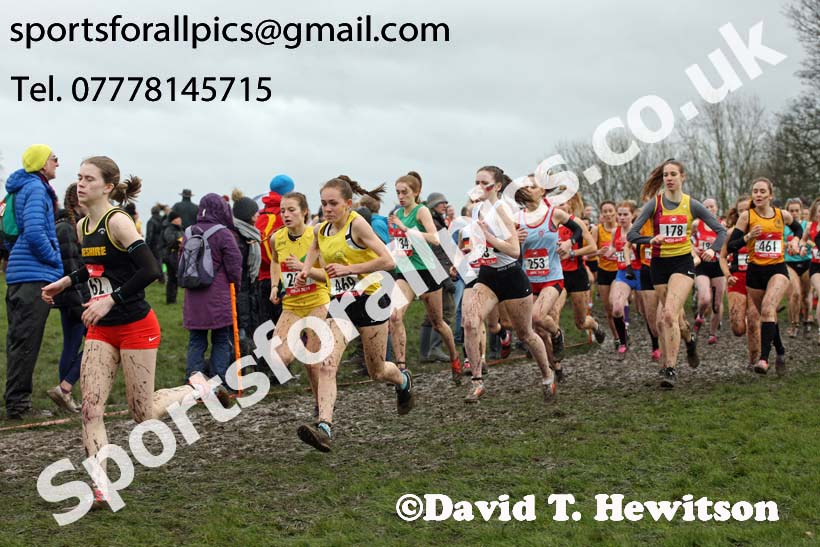 Senior girls 2019 New Balance English Schools Cross Country Champs, Temple Newsam, Leeds. Photo:  David T. Hewitson/Sports for All Pics
